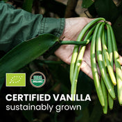 Baccelli di vaniglia biologica gourmet del Madagascar (14-18 cm)